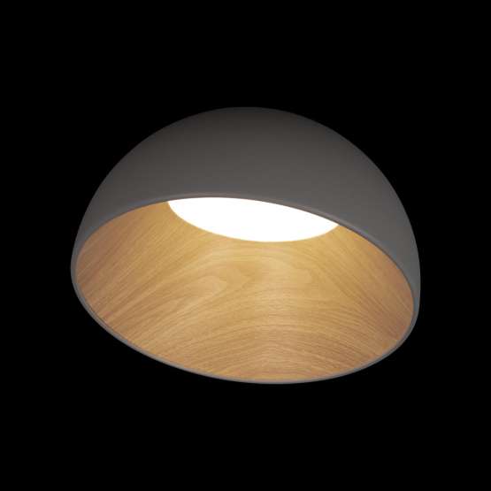10197/350 Grey Потолочный светильник LOFT IT Egg — изображение 2