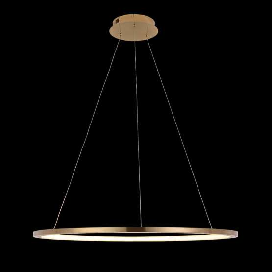 10014L Подвесной светильник LOFT IT Ring — изображение 2
