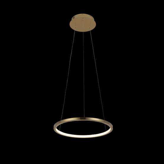 10014S Подвесной светильник LOFT IT Ring — изображение 2