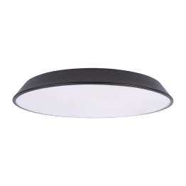 10226 Black Потолочный светильник LOFT IT Brim