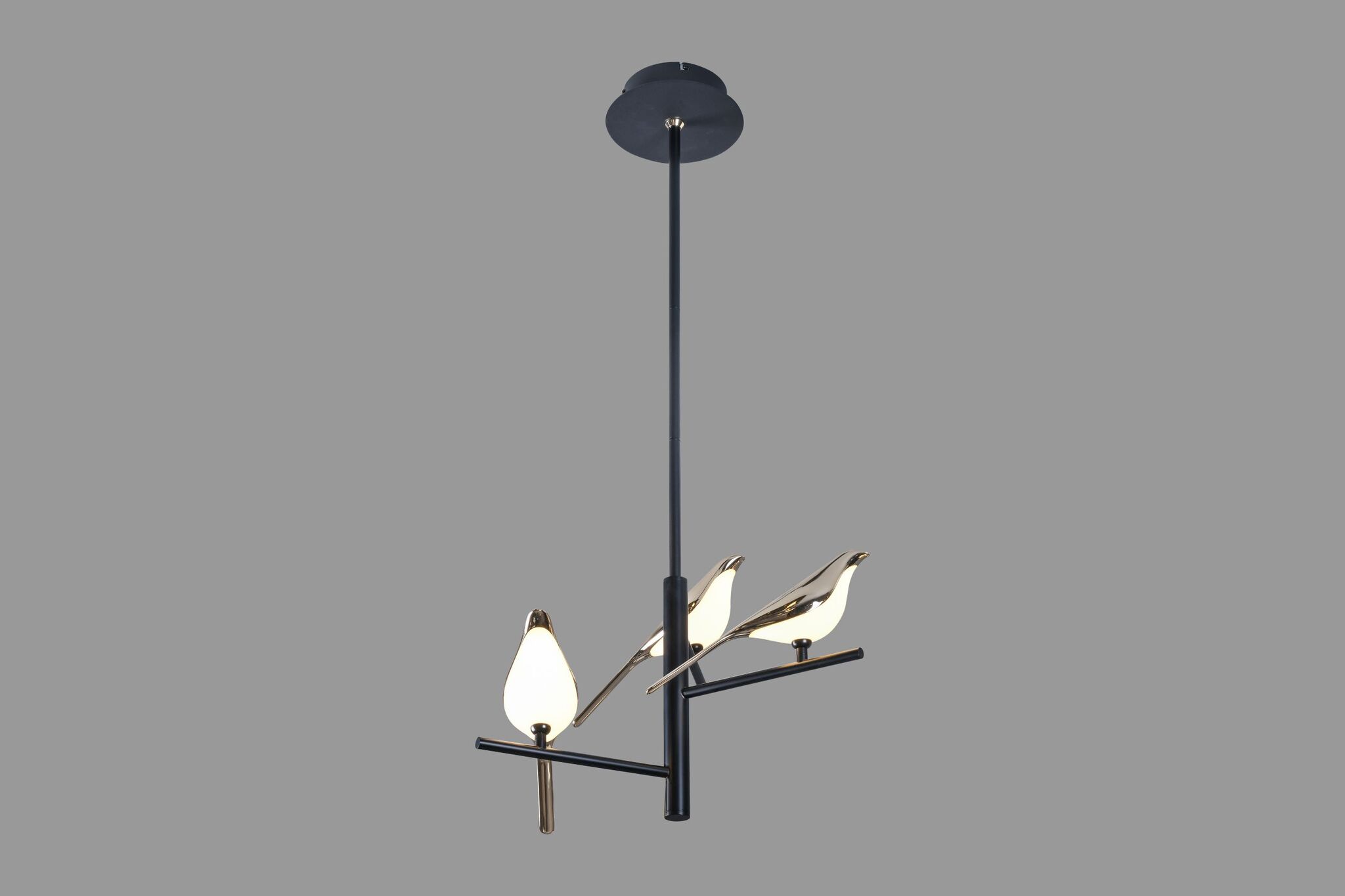 golden_bird_3