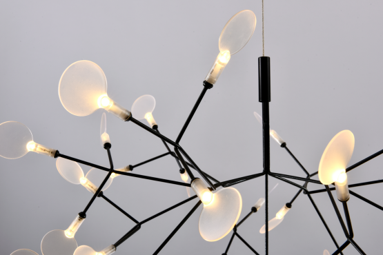 Люстра Heracleum D98 — изображение 2