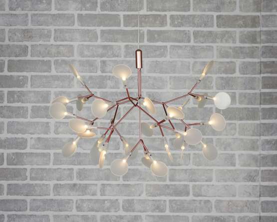Люстра Heracleum D50