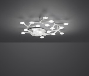 led_net