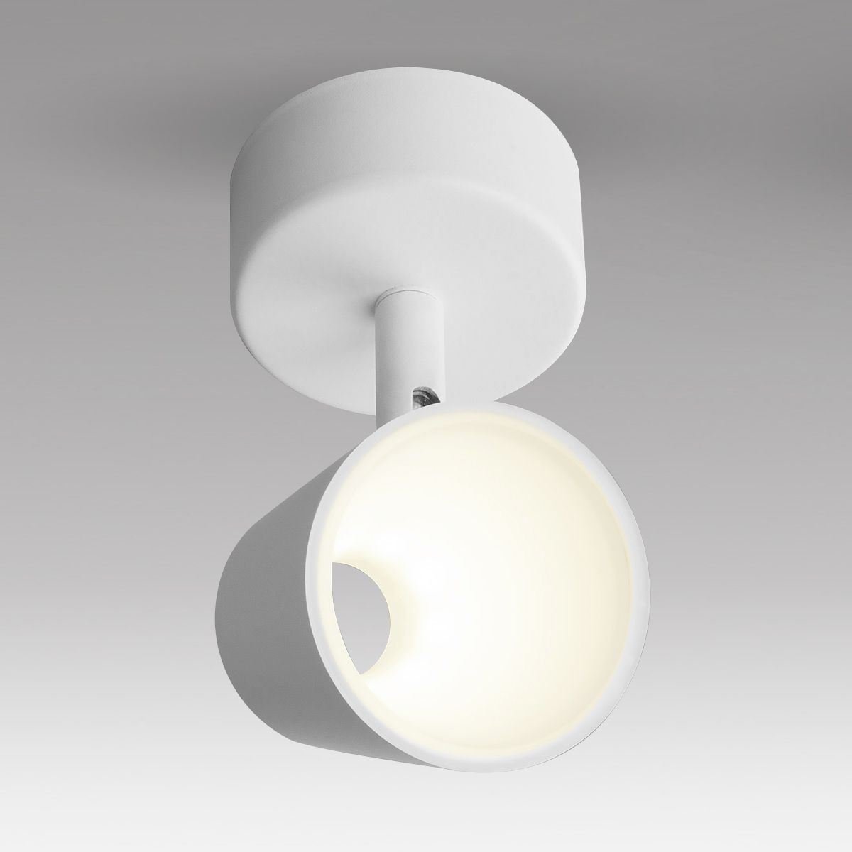 nastenno-potolochnyy-povorotnyy-svetodiodnyy-svetilnik-dlr025-5w-4200k-belyy-matovyy-a039691-0001