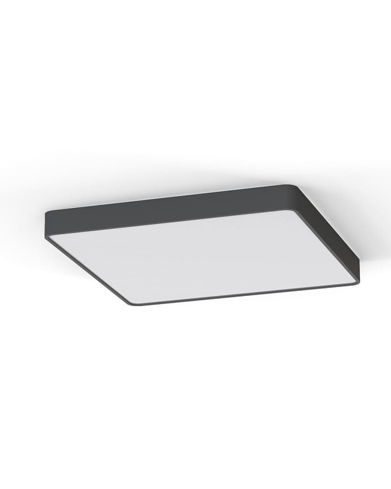 products202305072110d3a1-4645-11ed-9634-000c2959f35b