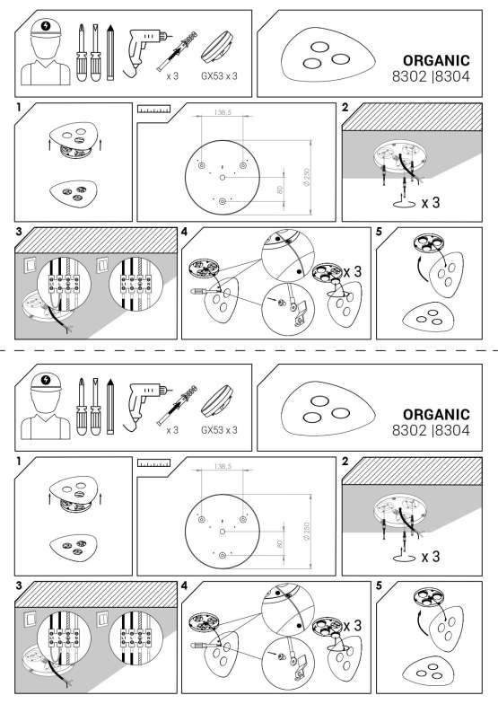 8304 Nowodvorski ORGANIC