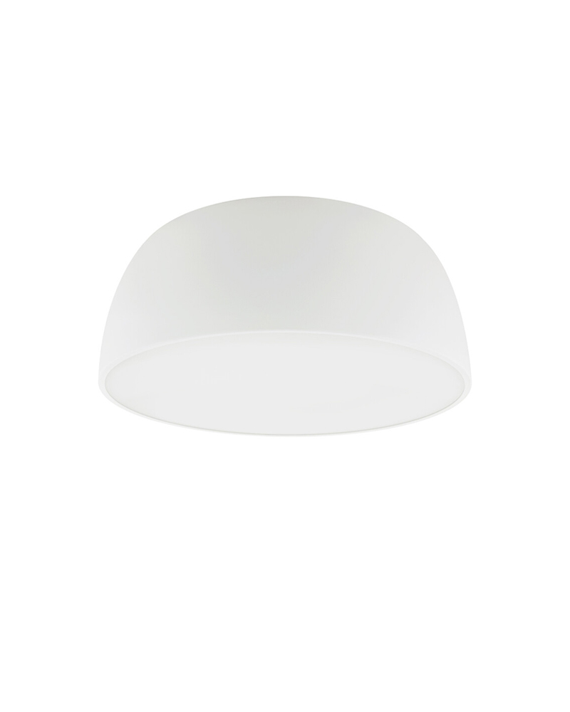 products2024061050b21f55-7ae3-4e80-878c-2094c27bccda