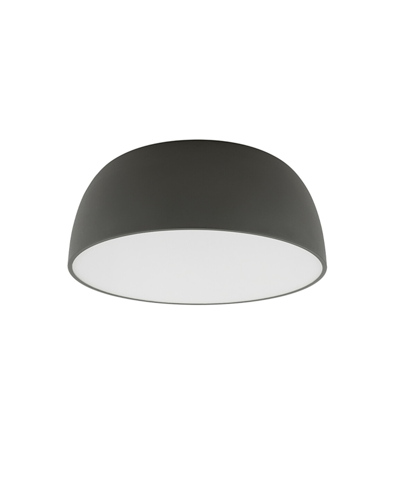 products20240610d1810b8c-2b69-42f9-a591-c3c530221727
