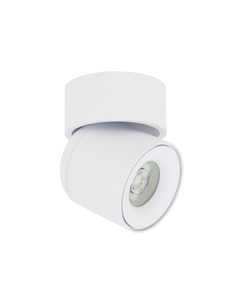 products202412207101d872-58e1-4c74-8608-87c4fbd45d60