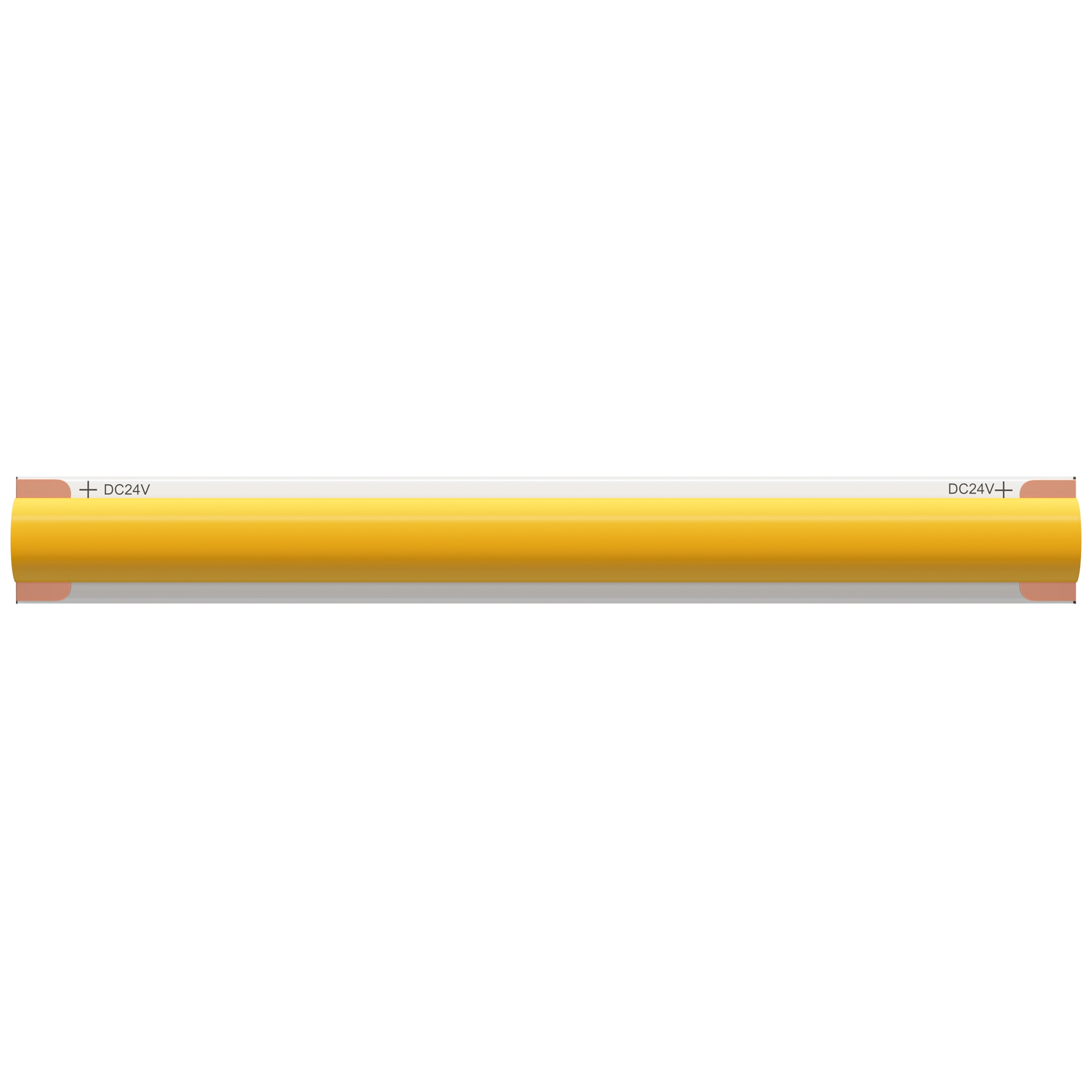 render_201067_on_w_standard