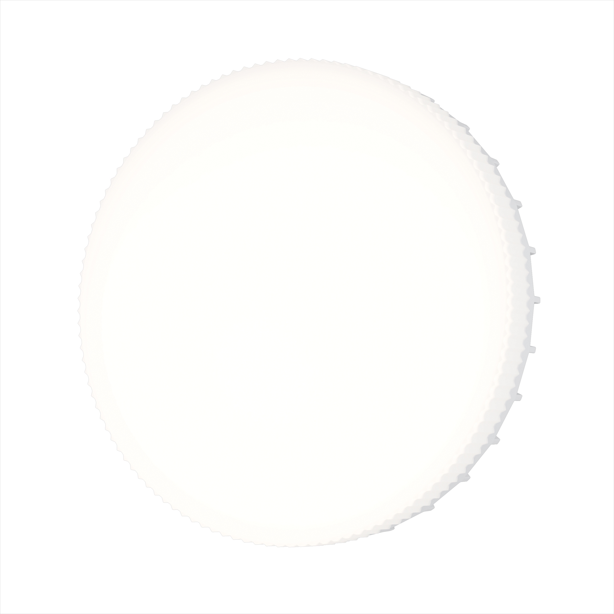render_2431_on_w_standard