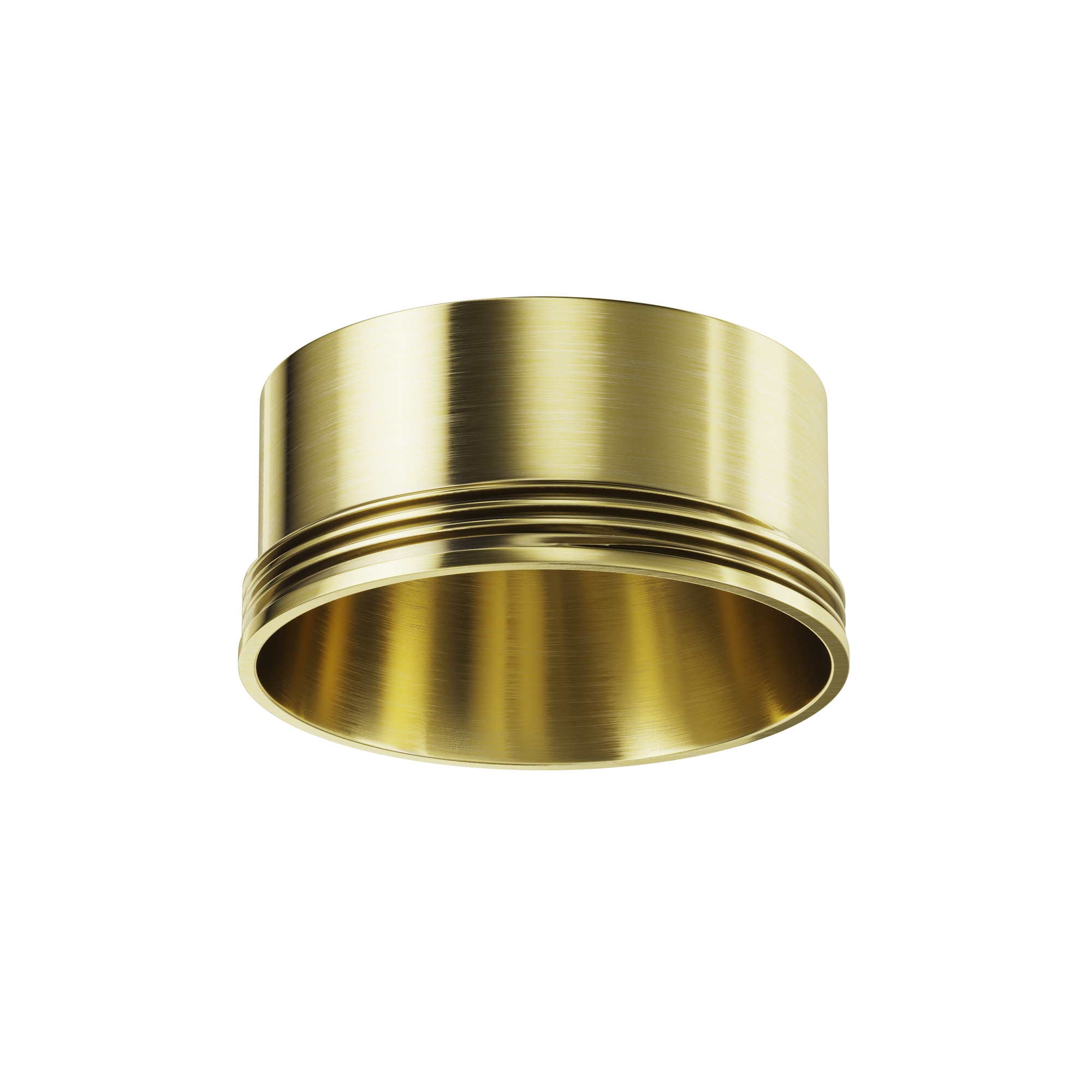 render_ringm-12-bs_on_w_standard