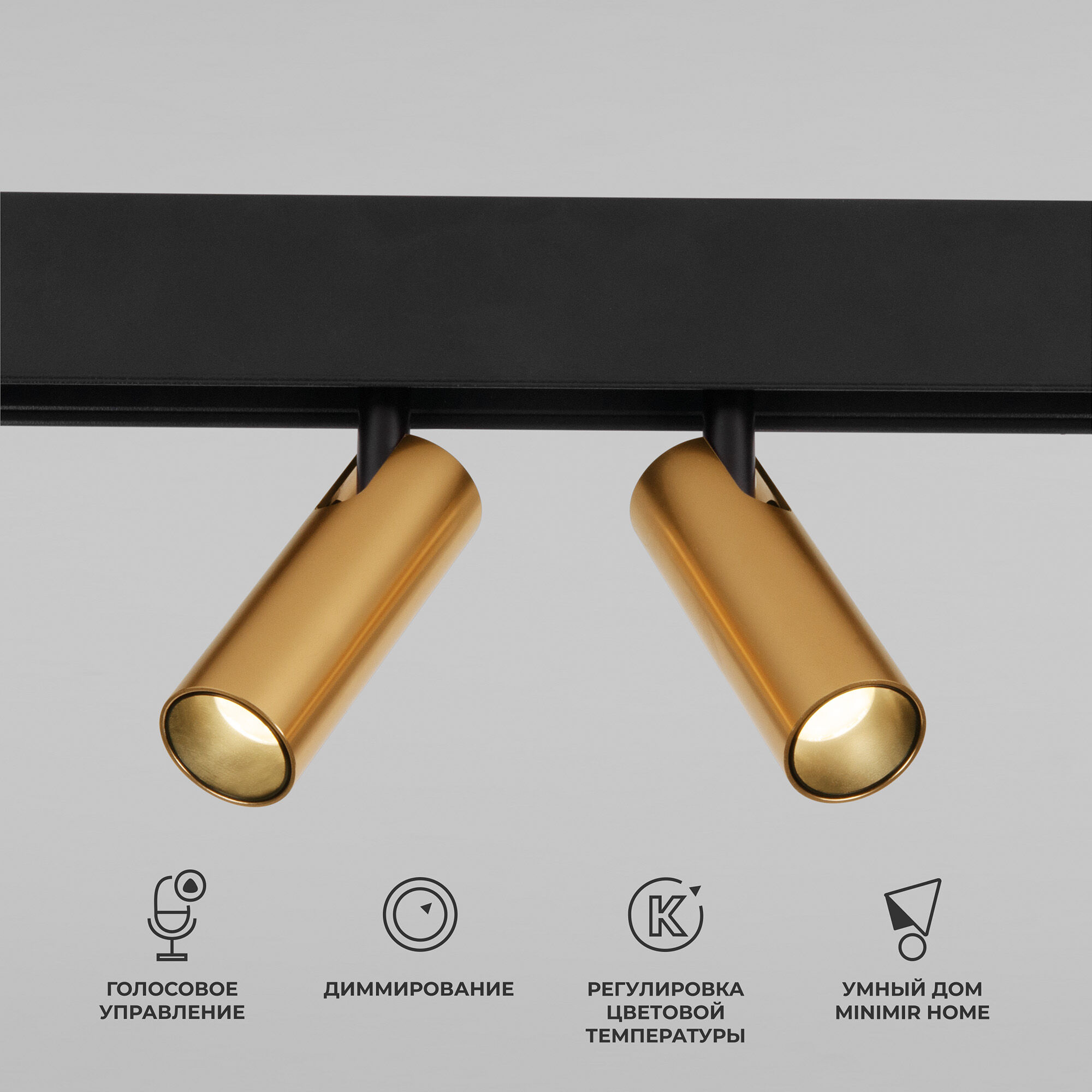 slim-magnetic-umnyy-trekovyy-povorotnyy-svetilnik-14w-2700-6500k-dim-dual-latun-85056-01-a063527-0001