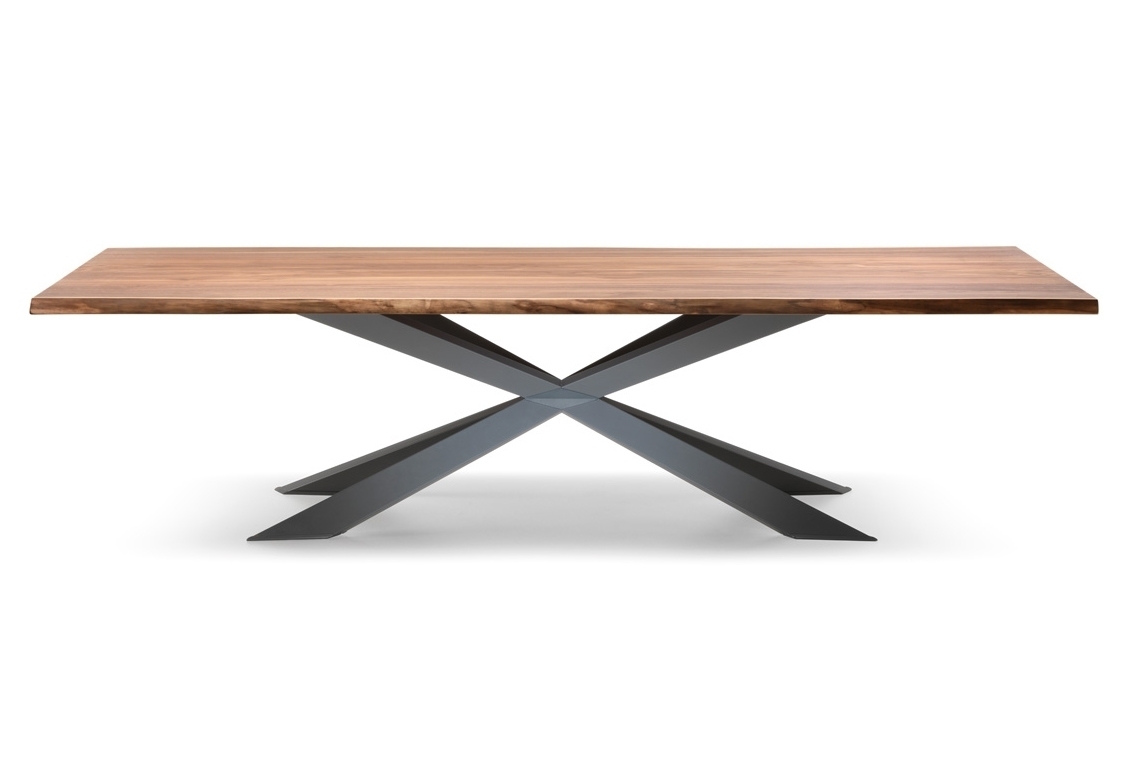 spyder_wood