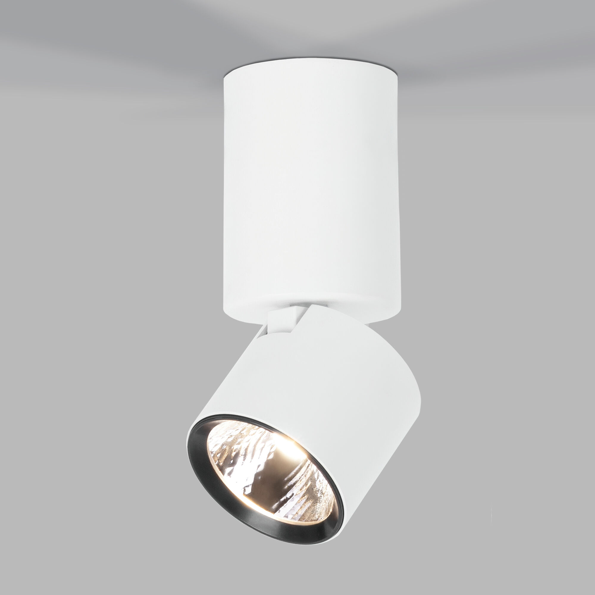 svetilnik-potolochnyy-povorotnyy-svetodiodnyy-sens-10w-4000k-belyy-25042-led-a063679-0001