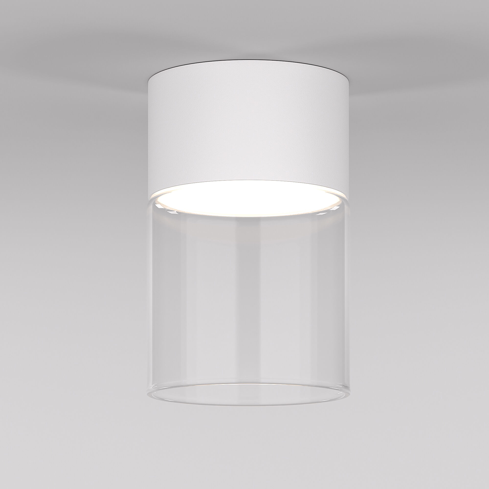 svetilnik-potolochnyy-svetodiodnyy-10w-4000k-belyy-prozrachnyy-25047-led-a064710-0001