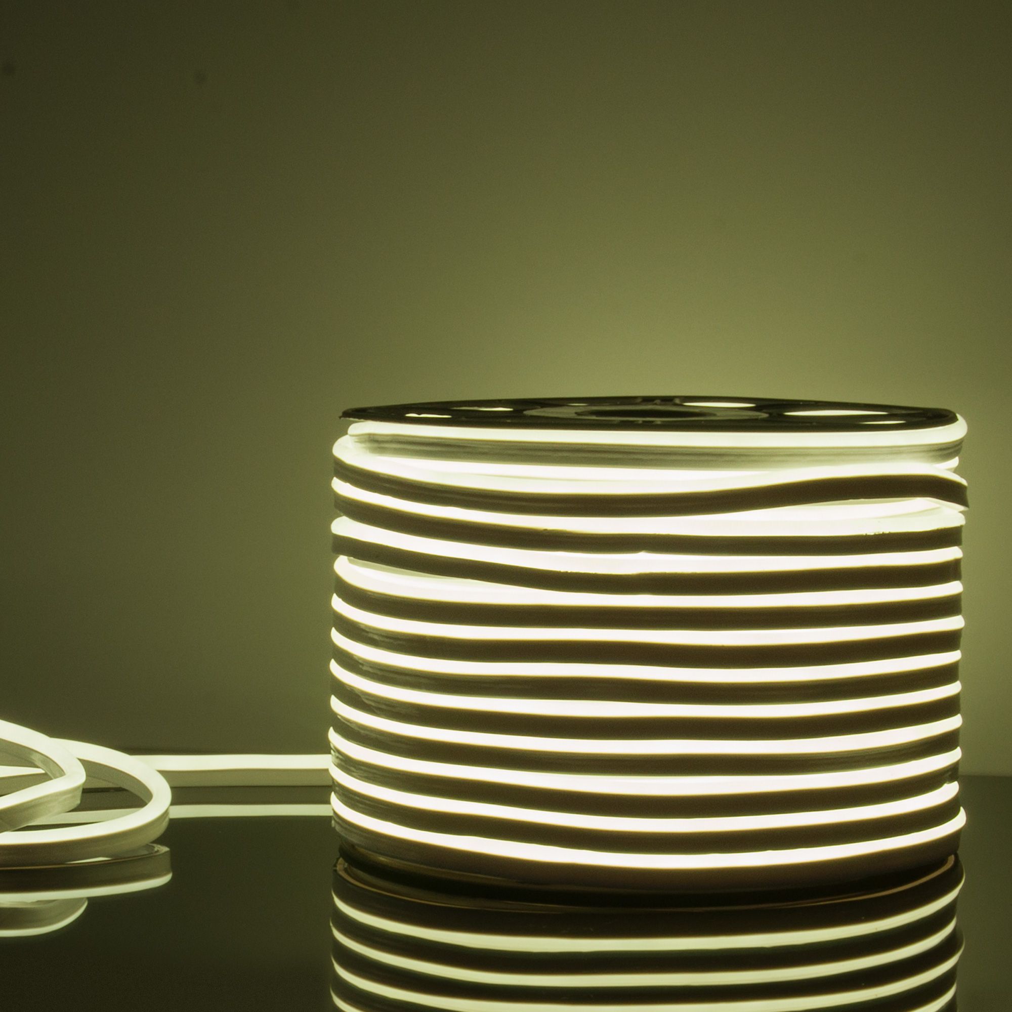 svetodiodnyy-gibkiy-neon-gibkiy-neon-220v-9-6w-120led-2835-ip67-odnostoronniy-kholodnyy-belyy-50-m-a040597_0001