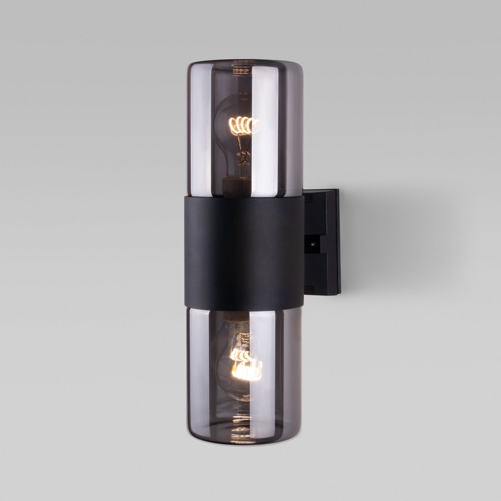 ulichnyy-nastennyy-svetilnik-roil-ch-rnyy-dymchatyy-plafon-ip54-35125-d-a055636_0001