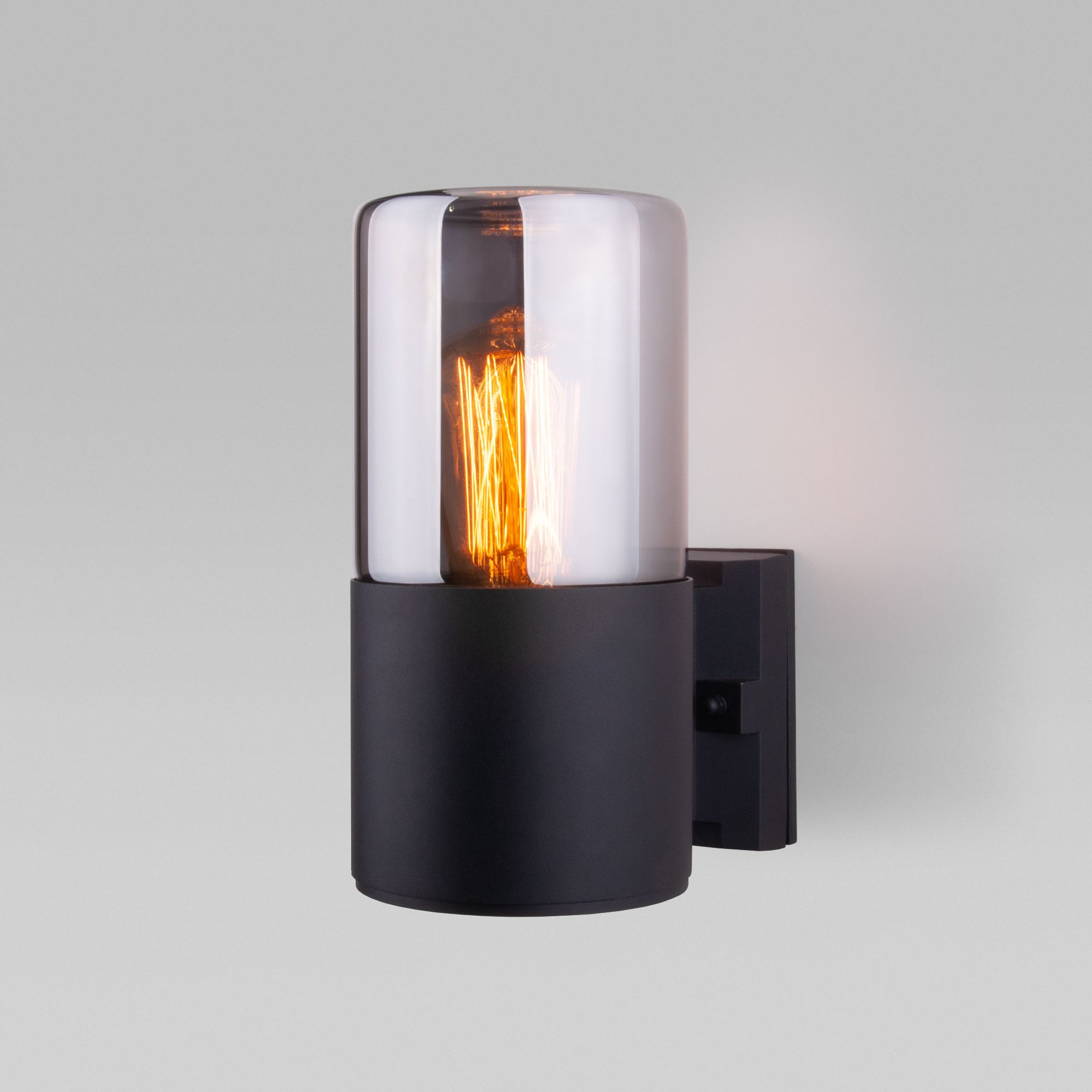 ulichnyy-nastennyy-svetilnik-roil-ch-rnyy-dymchatyy-plafon-ip54-35125-u-a055630_0001