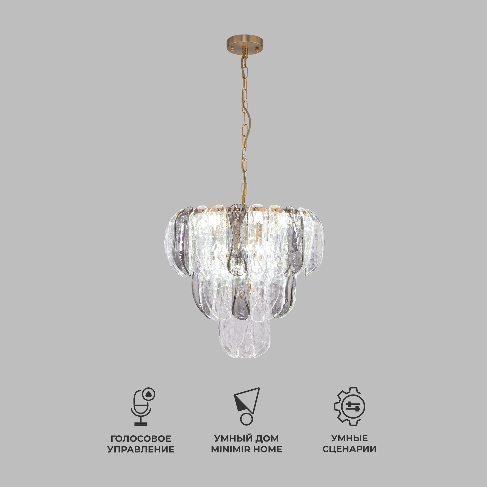 umnaya-podvesnaya-lyustra-365-12-a064815_0001