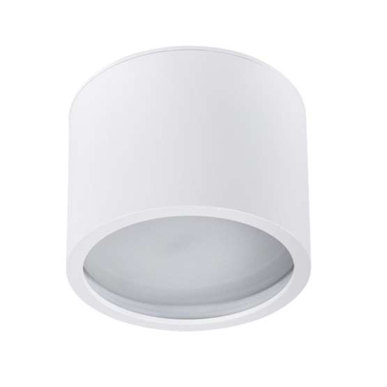A5543PL-1WH Светильник потолочный накладной INTERCRUS для GX53 Ø80x60мм белый IP44