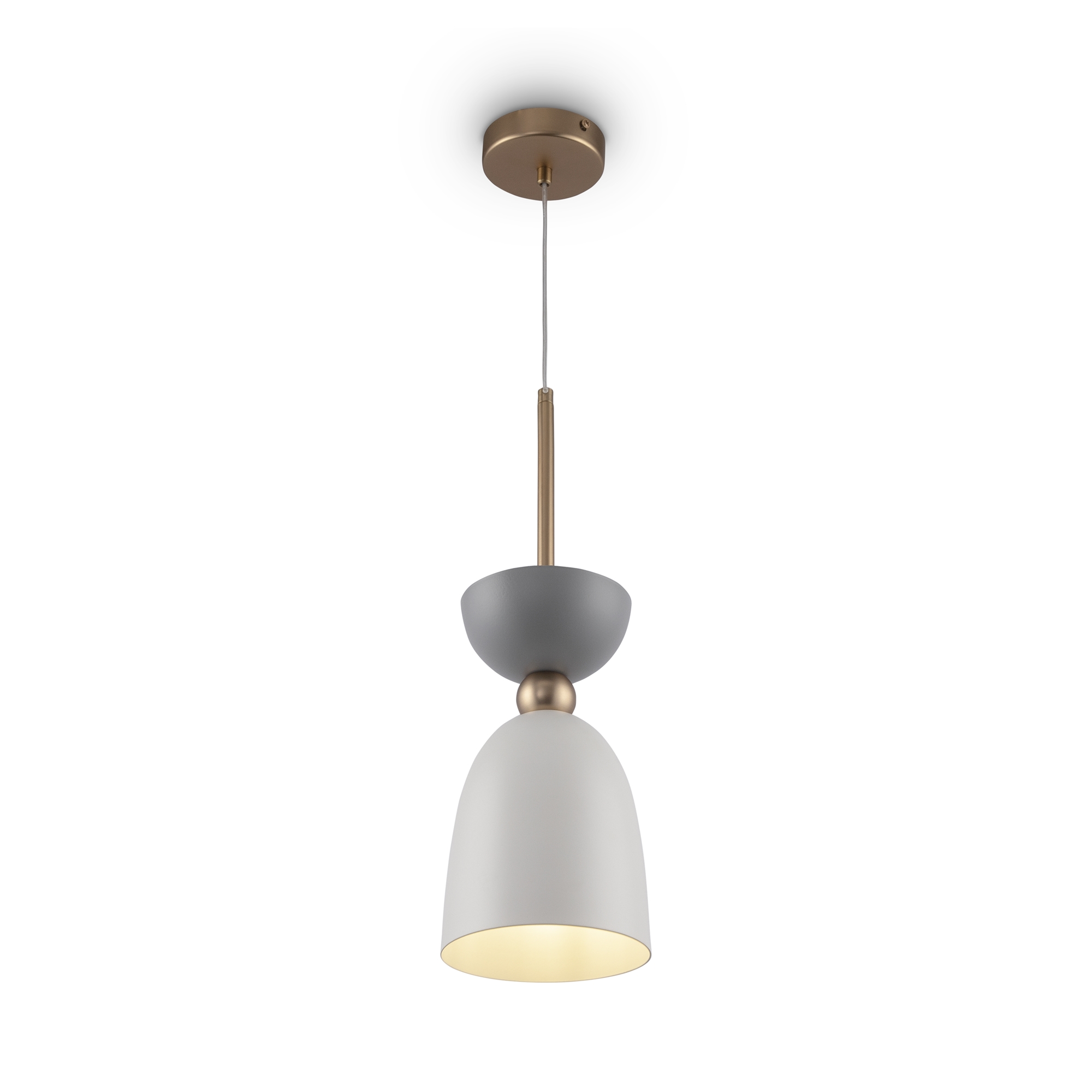 mod113pl-01w_on_w_standard