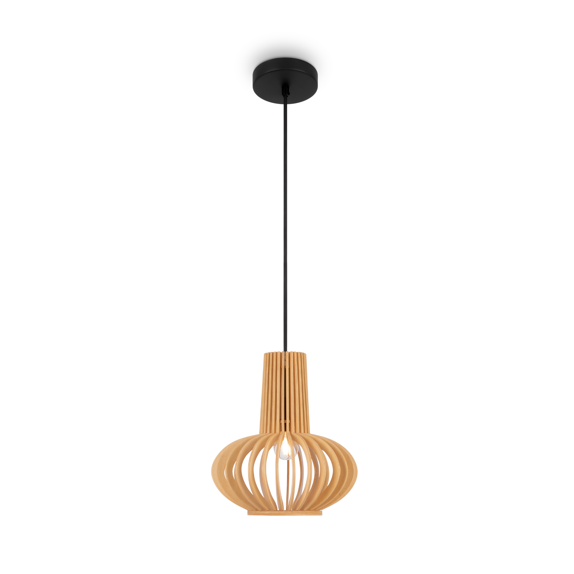 mod193pl-01w_on_w_standard