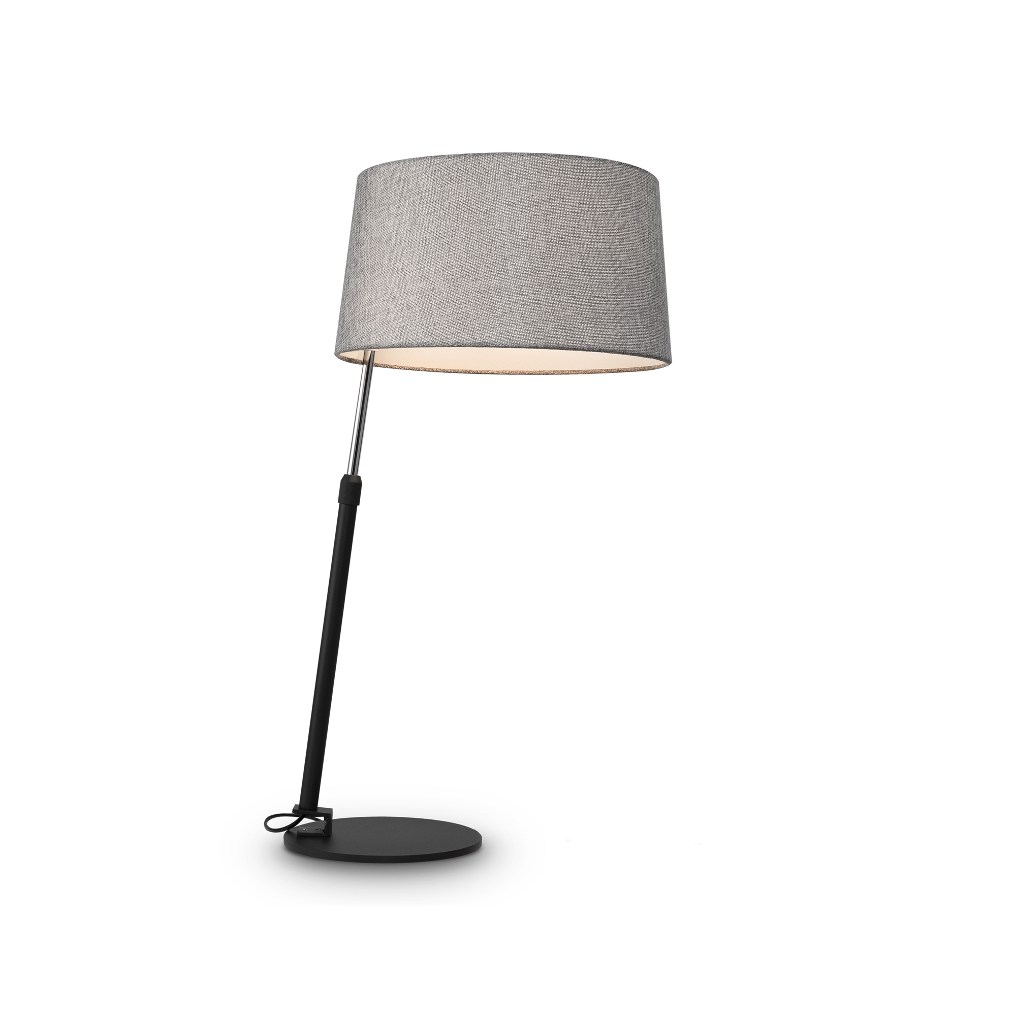 mod613tl-01b_on_w_standard_1
