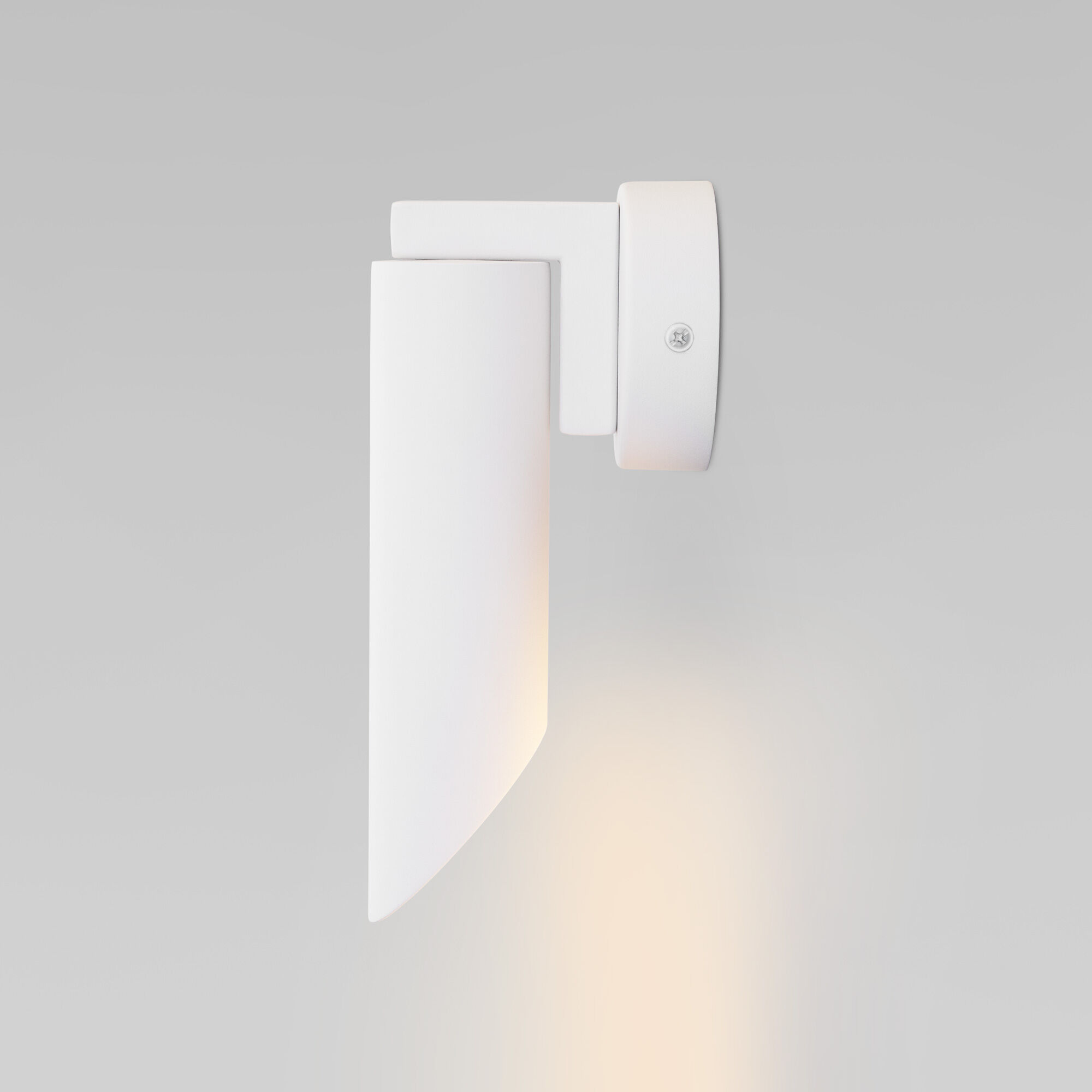 nastennyy-svetilnik-s-metallicheskim-plafonom-40037-1-belyy-a062383-0001