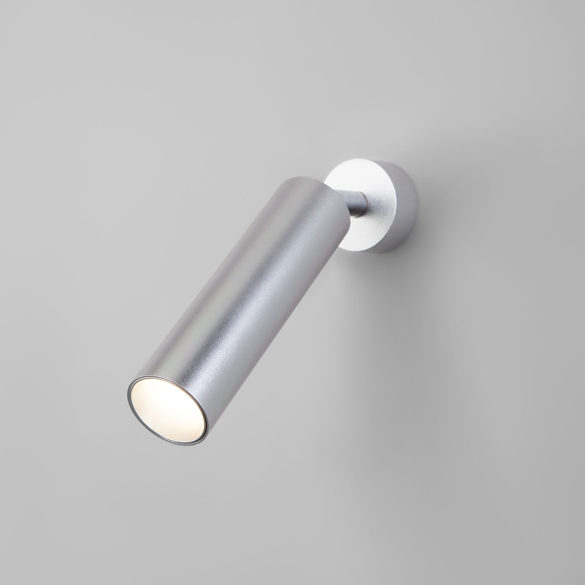nastennyy-svetodiodnyy-svetilnik-v-stile-minimalizm-20128-1-led-serebro-a058946-0001