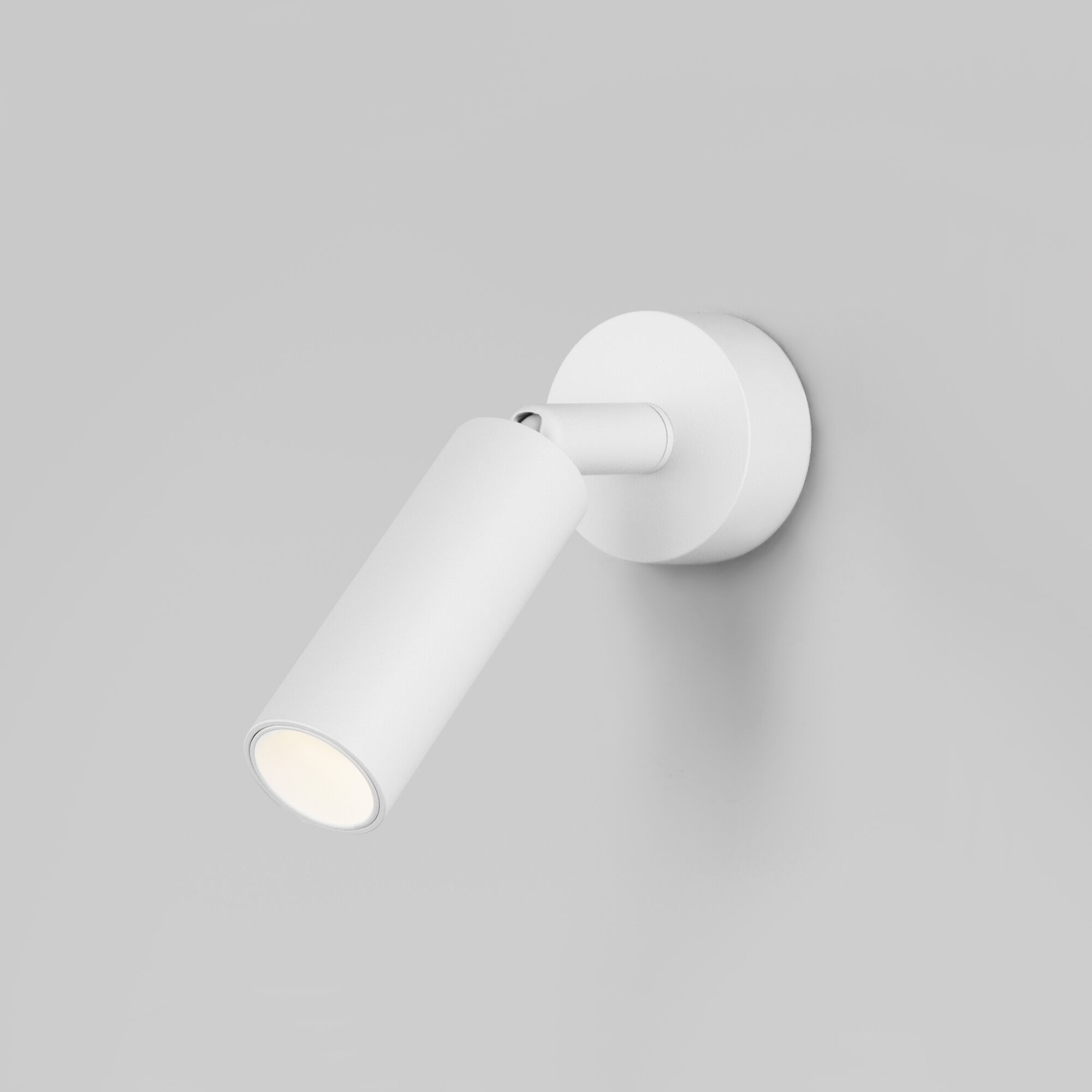 nastennyy-svetodiodnyy-svetilnik-v-stile-minimalizm-20133-1-led-belyy-a058948-0001