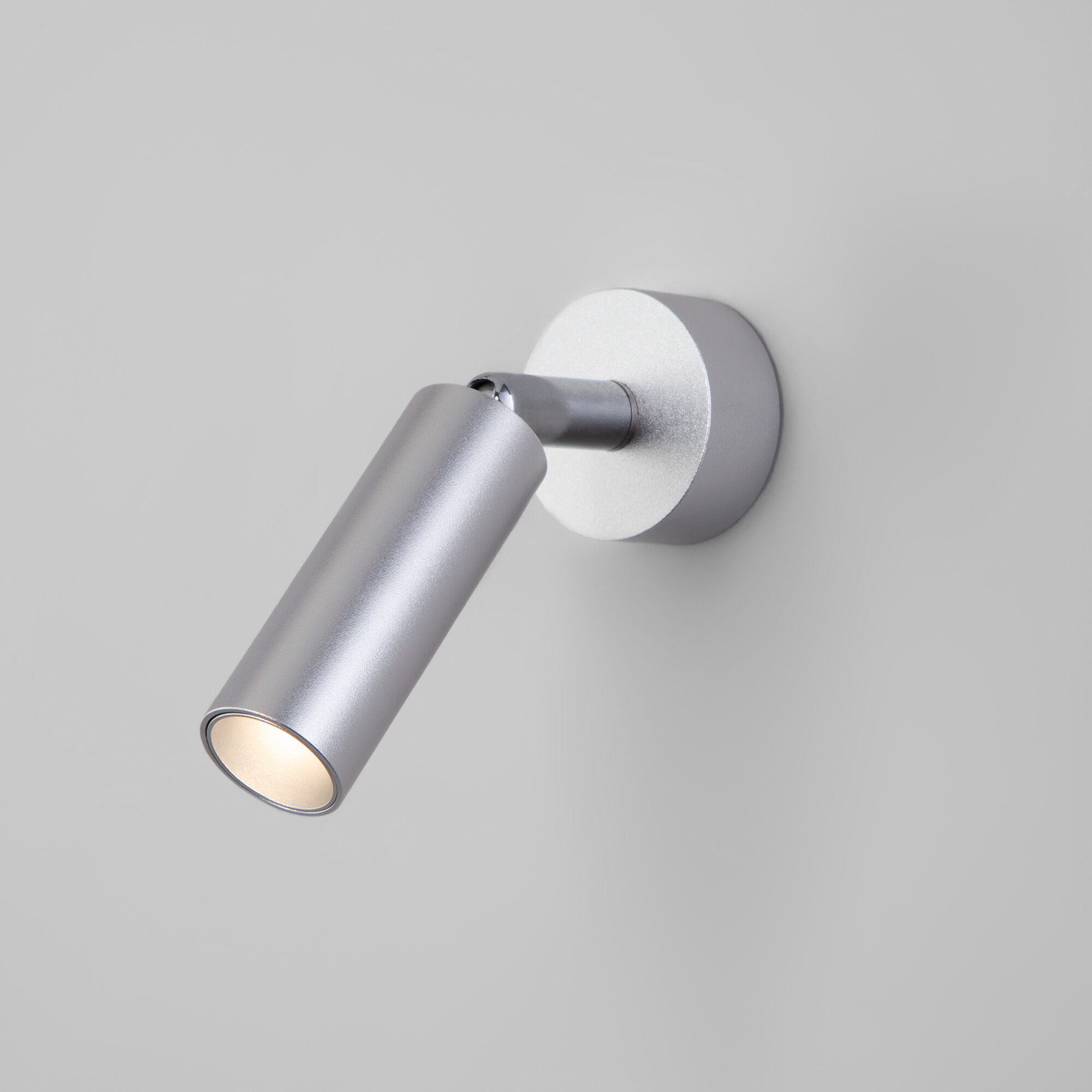 nastennyy-svetodiodnyy-svetilnik-v-stile-minimalizm-20133-1-led-serebro-a058950-0001