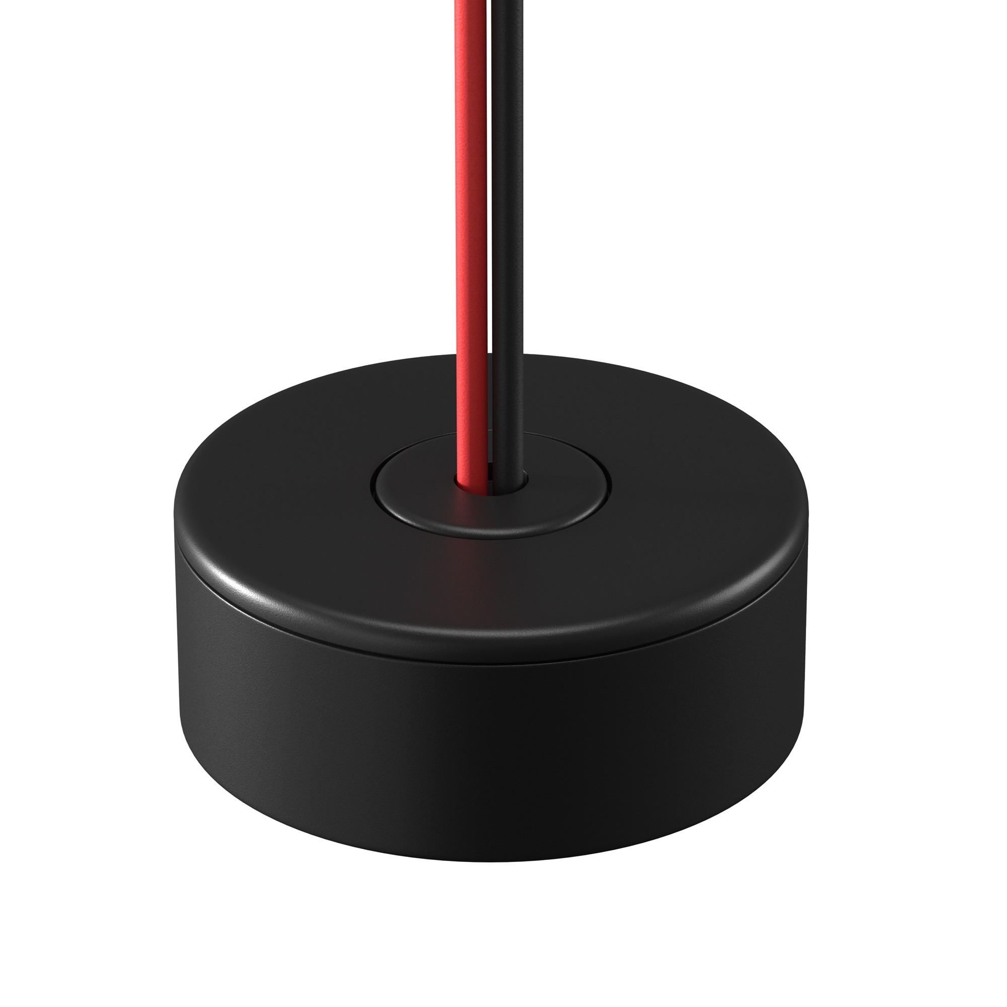 render_711038_on_w_standard