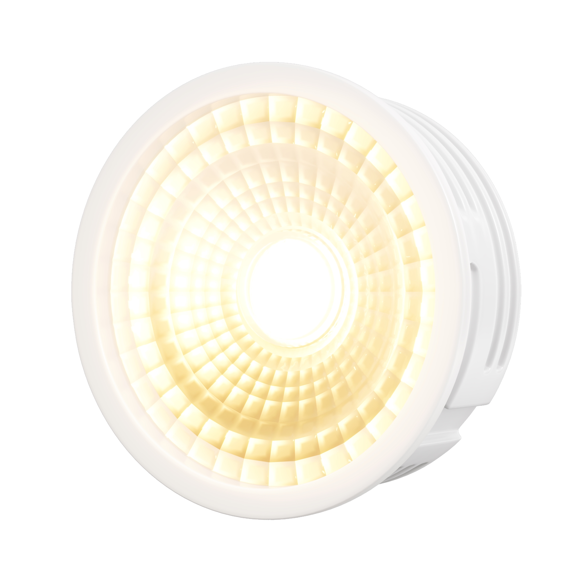 render_7189_on_w_standard