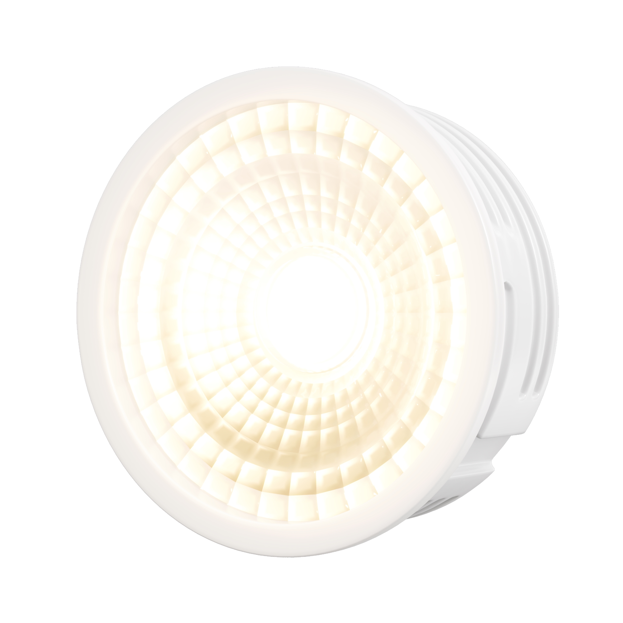 render_7190_on_w_standard