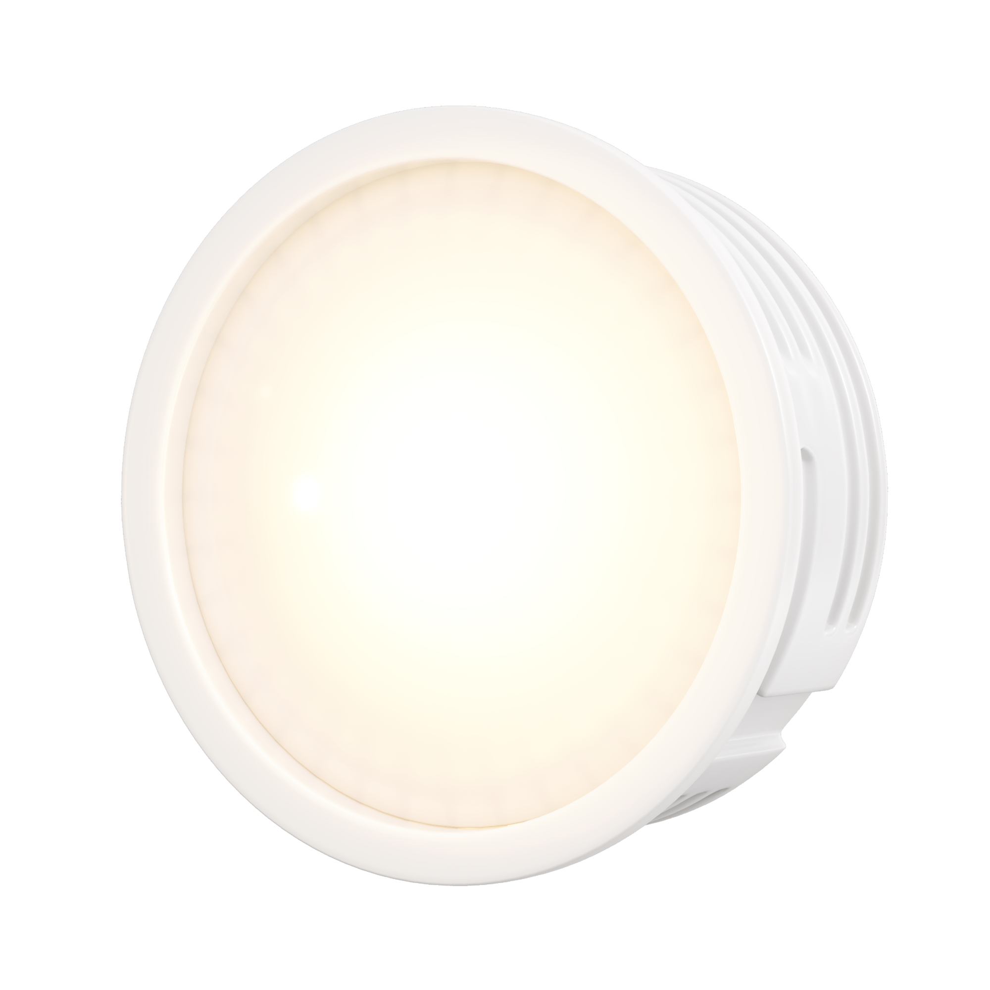render_7195_on_w_standard