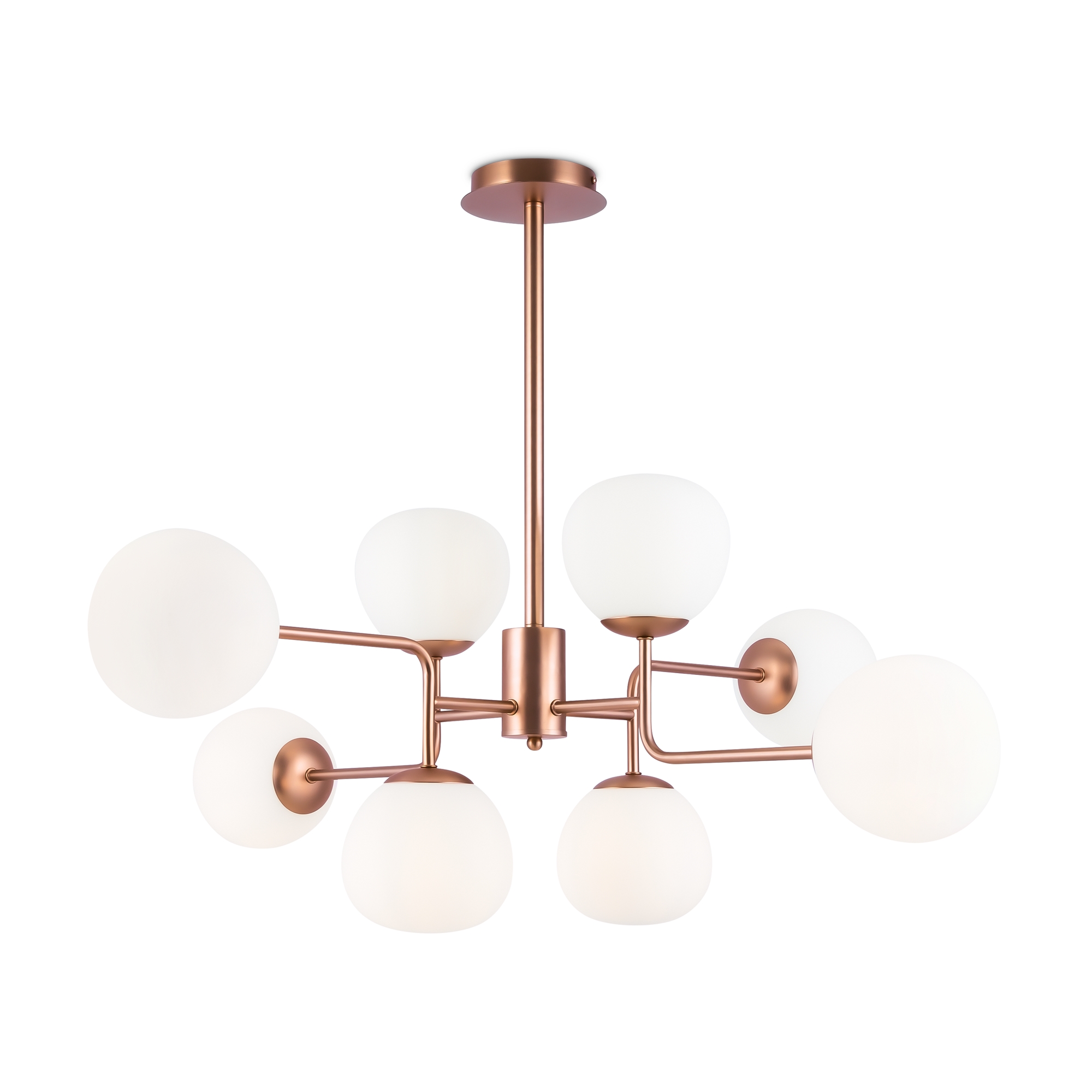 render_mod221-pl-08-g_on_w_standard_1
