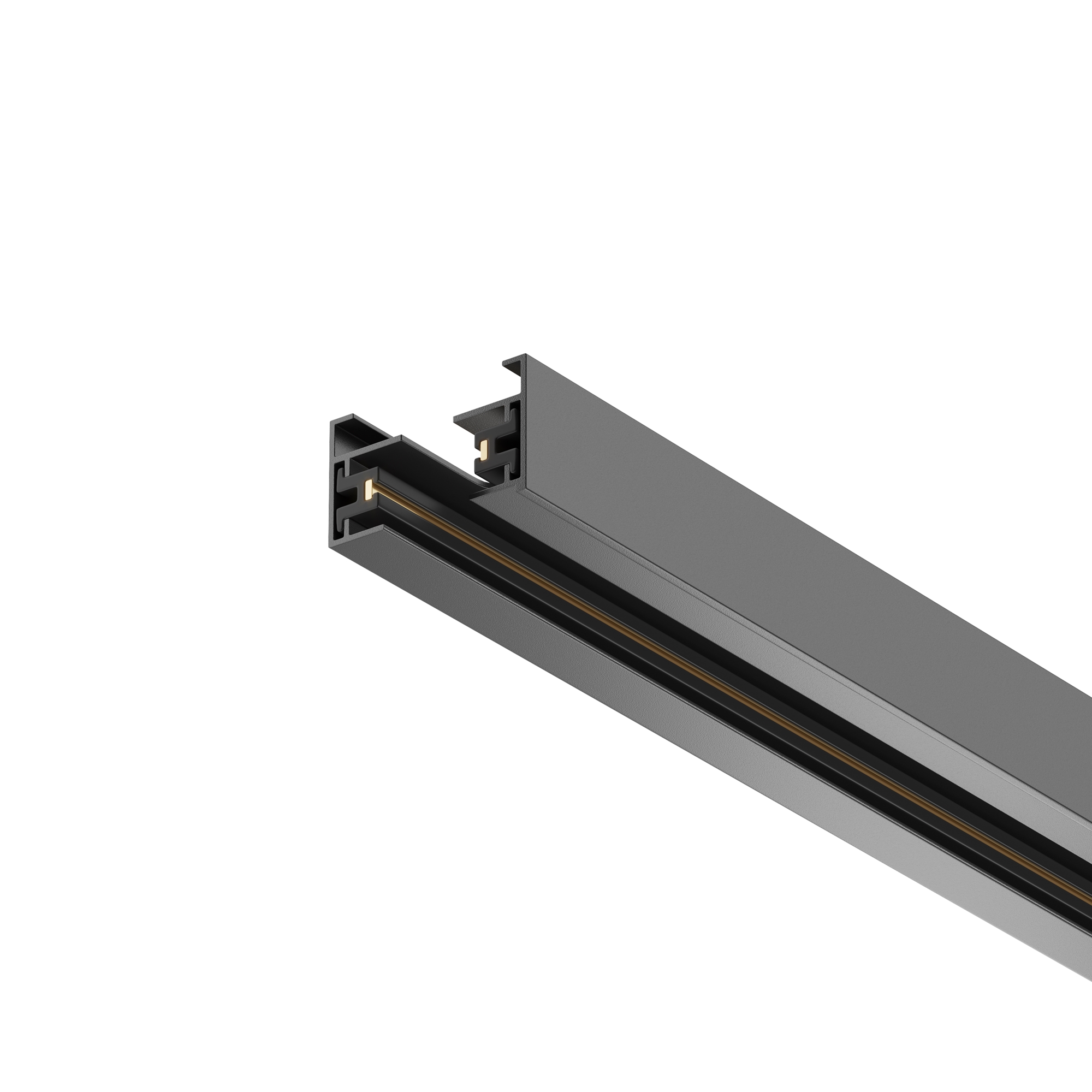 render_trx001-111b_on_w_standard