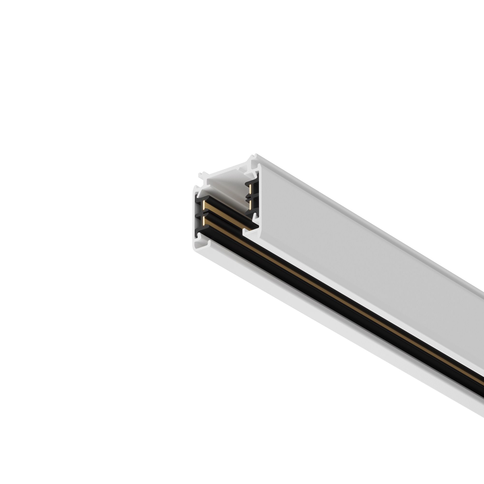 render_trx005-312w_on_w_standard