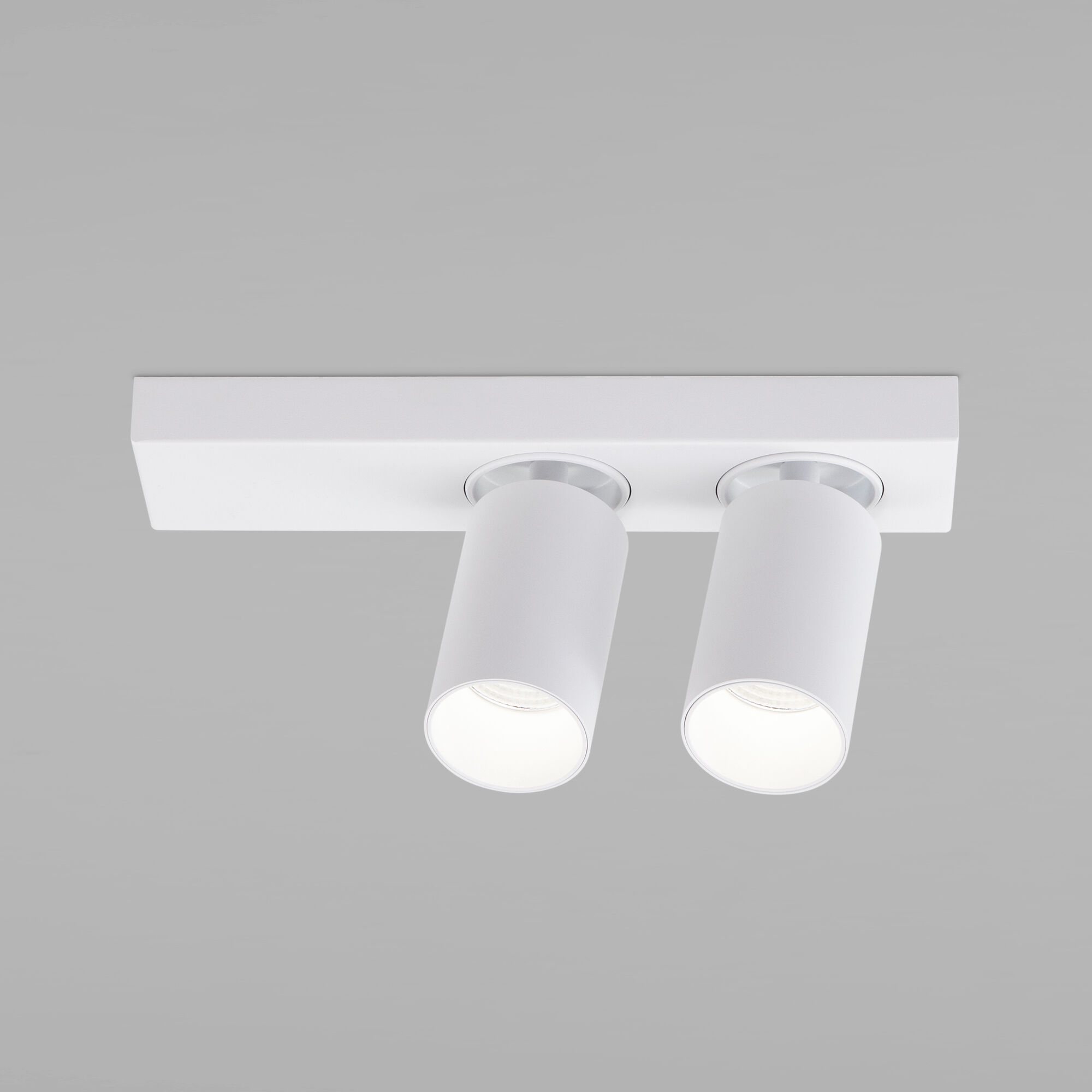 svetodiodnyy-svetilnik-v-stile-minimalizm-20139-2-led-belyy-a059101-0001