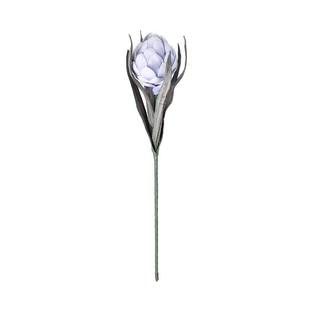 2b852049c1526fd67dd03c25d32af797