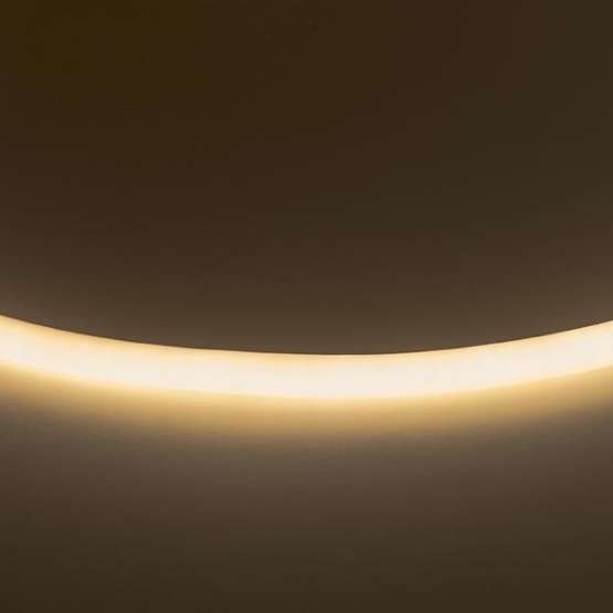 Гибкий неон Lightstar 9,6W/m 120LED/m теплый белый LS720 430202