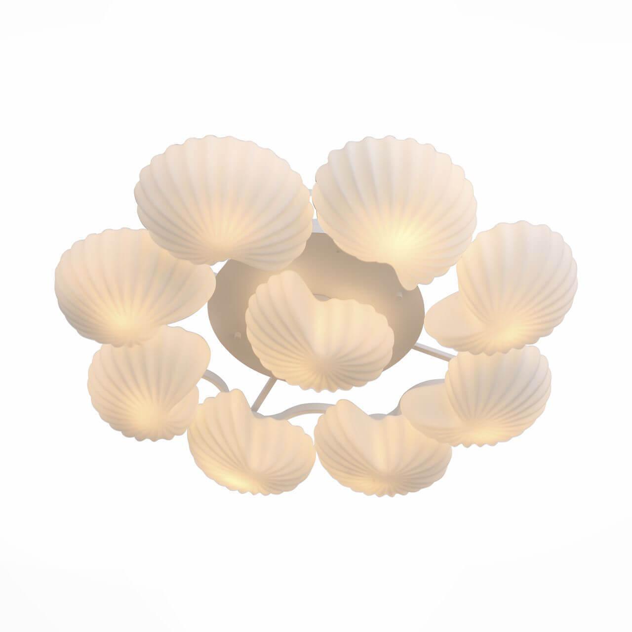 c28505ccd4f75c870436c53d6c2d8707