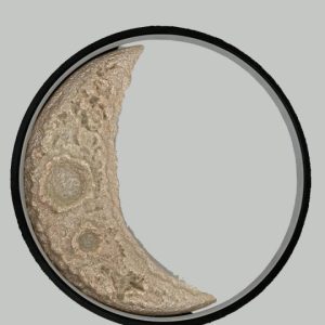 Бра Alfa Light F0324-40