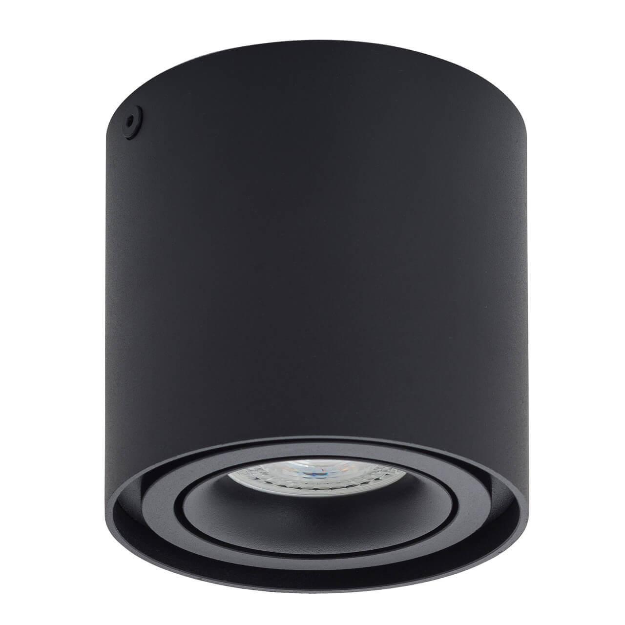 786f0b2522e6ea97636830054d19ba98