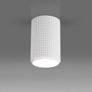 Накладной потолочный светильник GU10 белый DLN112 GU10