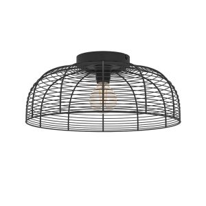 Потолочный светильник Eglo Rinroe 43896