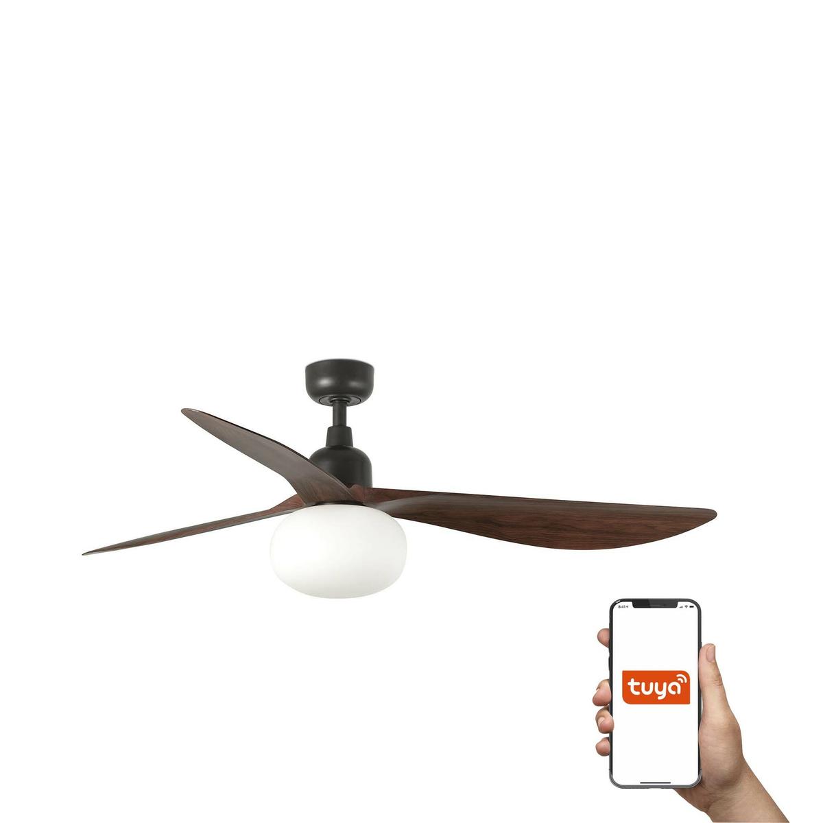 7317eb16df8e4fa8ab42dd3c421baf90