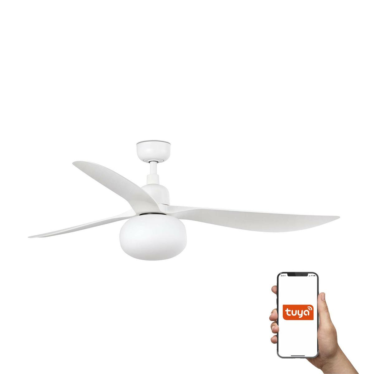 74c5366b34d24cdcaafc39198ce771dd